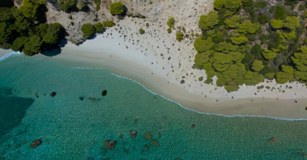 La Star Academy sans Michael Goldman : qui pour le remplacer en 2025 ? découvrez toutes les informations sur le remplacement de star academy en 2025 : nouveautés, candidats et format de cette nouvelle émission musicale.