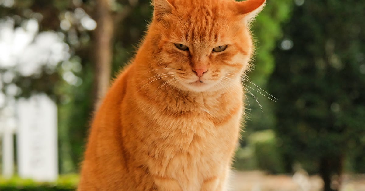 découvrez tout ce qu'il faut savoir sur les taxes en 2025 : nouveautés, barèmes, et conseils pour bien gérer votre fiscalité.