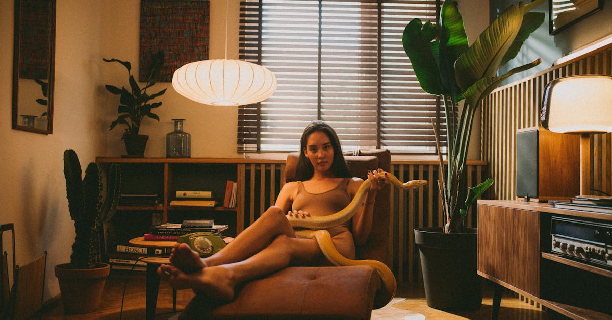 découvrez notre sélection de meubles vintage authentiques pour un intérieur au charme rétro unique et intemporel.