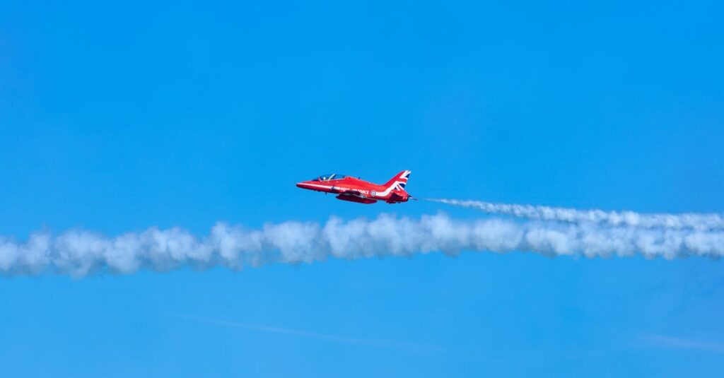 découvrez tout ce qu'il faut savoir sur les moucherons : identification, prévention et méthodes efficaces pour s'en débarrasser.