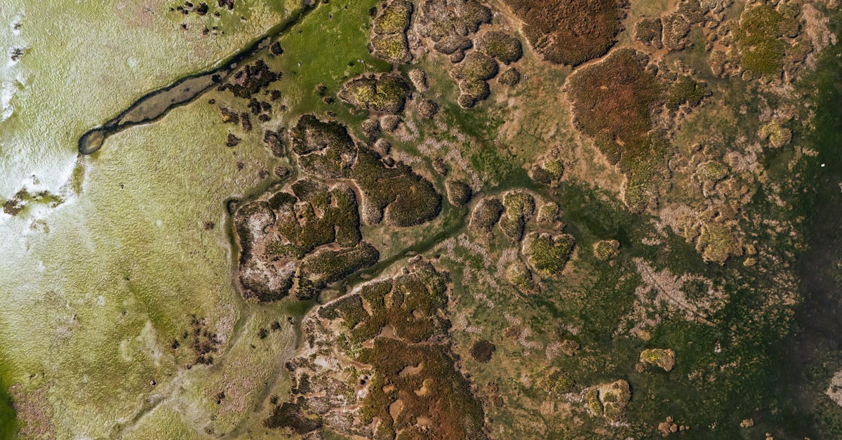 découvrez toutes les nouveautés et sorties netflix prévues pour juin 2025, avec films, séries et documentaires à ne pas manquer ce mois-ci.